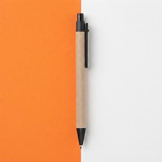 Caneta Ecológica Papelão